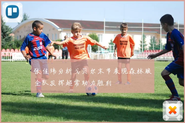 张佳玮分析戈贝尔末节表现森林狼全队发挥超常助力胜利