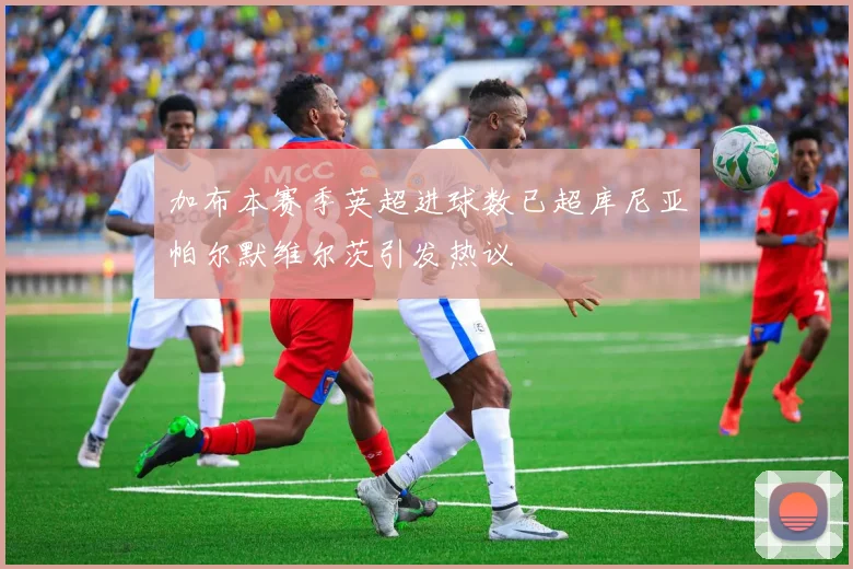 加布本赛季英超进球数已超库尼亚帕尔默维尔茨引发热议
