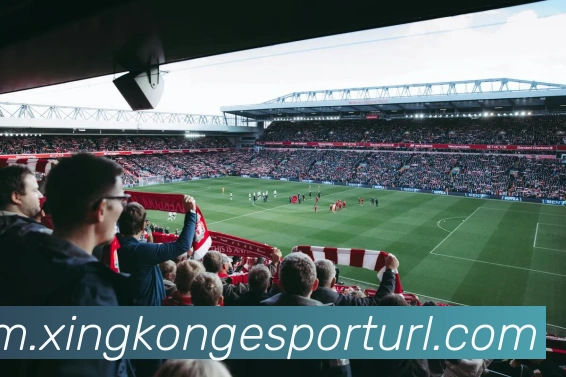 星空电竞平台生态图