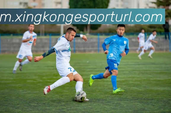 星空电竞APP 封面图